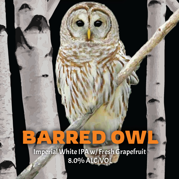 Barred Owl